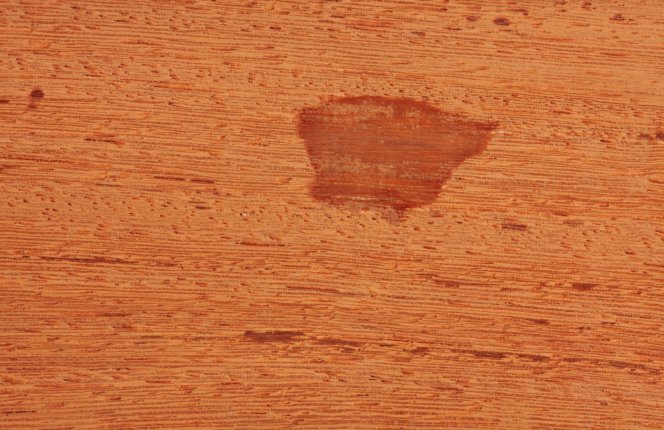 Sapupira/Angelim pedra